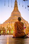 Myanmar, Yangon. Buddhist monk praying in front of Shwedagon pagoda (MR)