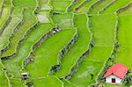 Asia, South East Asia, Philippines, Cordilleras, Banaue; Batad, Zoe Logos church in the UNESCO World heritage listed Ifugao rice terraces of the Philippine cordilleras