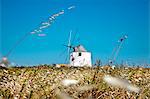 Windmill near Rogil, Costa Vicentina, Algarve, Portugal