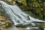 Close-up view of waterfall and stream in autumn, Bavarian Forest National Park, Bodenmais, Regen District, Bavaria, Germany