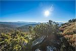 Scenic view of mountain top (Lusen) on a bright, sunny morning, Bavarian Forest National Park, Bavaria, Germany