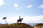 Horse rider on hilltop, Pakiri Beach, Auckland, New Zealand