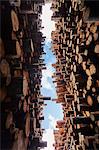 Low angle view of stacked timber in timber yard