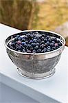 Sieve full of fresh blueberries