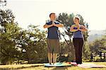 Mature couple practicing yoga in park