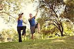 Mature couple practicing yoga positions in park