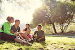 Four mature male and female runners sitting chatting in park