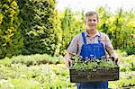 Portrait of confident man holding crate of potted plants at garden