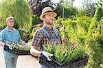 Male gardeners walking while carrying flower pots in crates at plant nursery