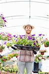 Portrait of happy gardener holding flower pots in crate at greenhouse