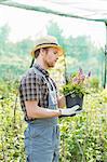 Gardener examining flower pot at greenhouse