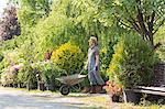 Man pushing wheelbarrow at garden