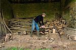 Chopping Wood, Gloucestershire, England