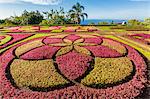 A view of the Botanical Gardens, Jardim Botanico do Funchal, in the city of Funchal, Madeira, Portugal, Europe