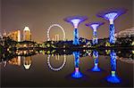 Gardens by the Bay reflecting in the water at night, Singapore, Southeast Asia, Asia
