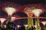 Gardens by the Bay at night, Singapore, Southeast Asia, Asia