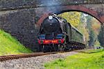 Bluebell Railway, West Sussex, England, United Kingdom, Europe