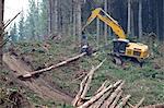 Forestry felling machine,Waikato, North Island, New Zealand, Pacific