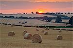 Round hay bales at harvest with sunset, Swinbrook, Cotswolds, Oxfordshire, England, United Kingdom, Europe