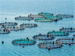 Fish farming off the coast of Greece