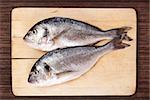 Two fresh sea bream fish on used wooden cutting board on brown background. Culinary seafood eating in natural brown.