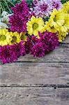 Beautiful chrysanthemum on rustic wooden table