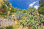 Mediterranean plants green landscape hill view