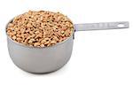 Farro dicocco in an American cup measure, isolated on a white background