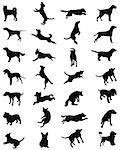 Different black silhouettes of dogs, vector