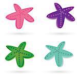 Set of colorful star-fishes  . Beautiful color combinations.