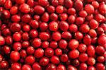 Fresh red cranberries as an abstract background texture