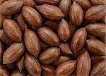 Pecan nuts as an abstract background texture