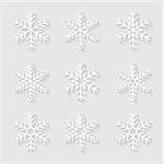 Decorative paper snowflakes. Vector illustration