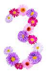 Number 3, multicolored aster flowers alphabet on white background