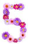 Number 5, multicolored aster flowers alphabet on white background