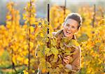 Portrait of happy young woman in autumn vineyard looking out from branch