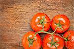 a bunch of fresh ripe tomatoes on weathered wood background with a copy space,top view,