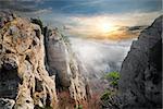 Birds and fog over valley of ghosts