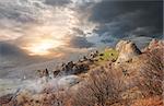 Fog in the Valley of Ghosts at sunrise