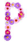 Letter P, multicolored aster flowers alphabet on white background