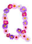 Letter Q, multicolored aster flowers alphabet on white background