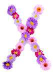 Letter X, multicolored aster flowers alphabet on white background
