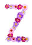 Letter Z, multicolored aster flowers alphabet on white background