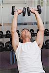 Fit man lifting dumbbells lying on the bench at the gym