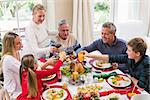 Family toasting with red wine in a christmas dinner at home in the living room