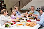 Family toasting with white wine in a christmas dinner at home in the living room