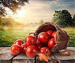 Tomatoes in a basket on table and landscape