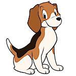 Cartoon vector illustration of a funny beagle for design element