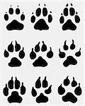Black print of paw of dogs, vector illustration