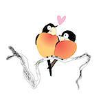 Birds in love on a white background